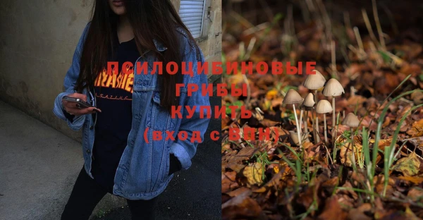 скорость Тында